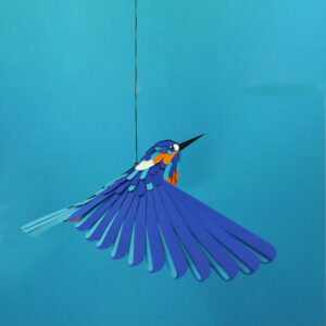 MP V B 05 martin pêcheur