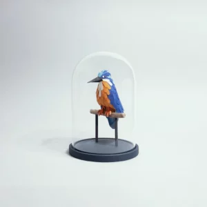 251102MPA01 martin pêcheur