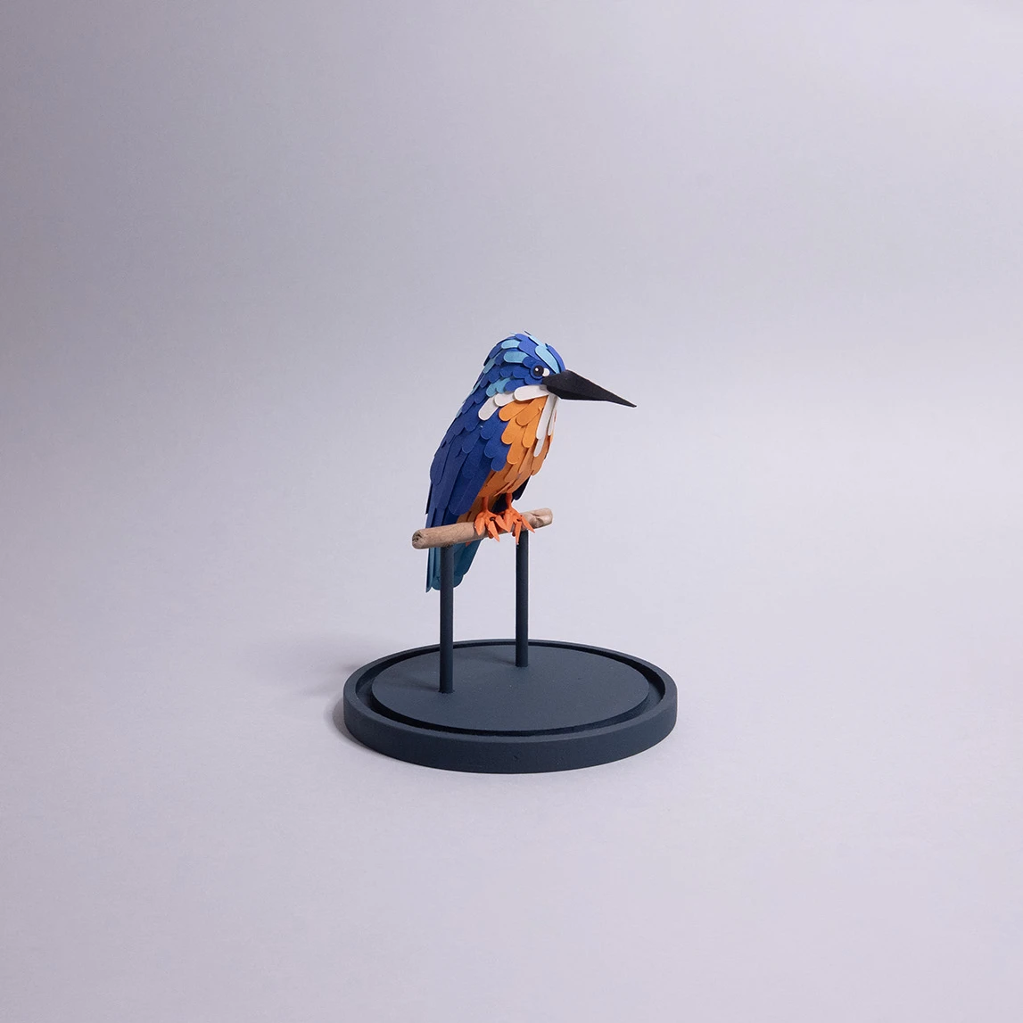 martin pêcheur – Image 4