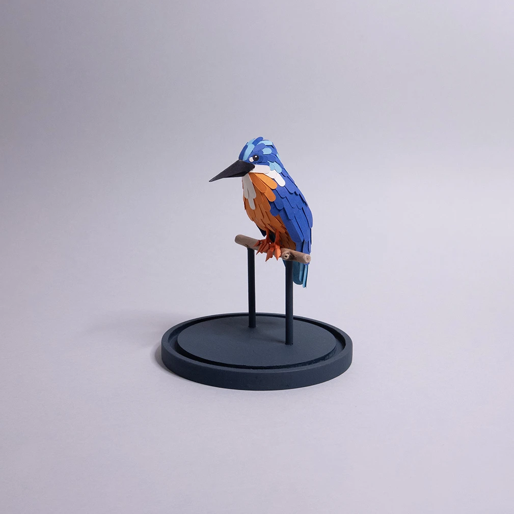 martin pêcheur – Image 5