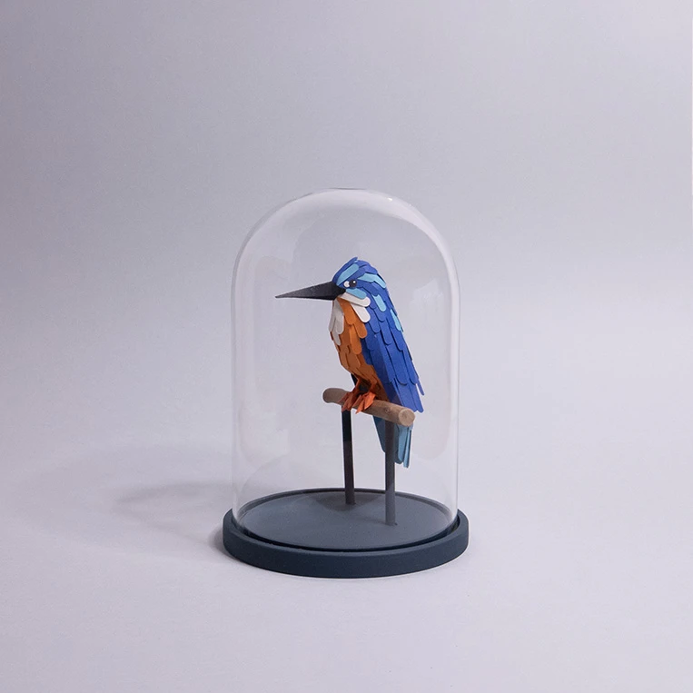 martin pêcheur – Image 6