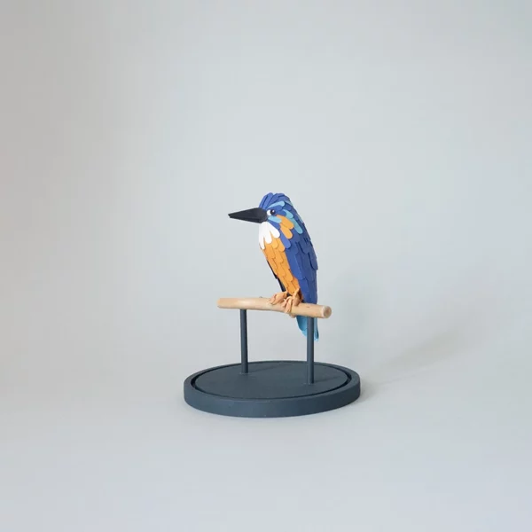 martin pêcheur – Image 4