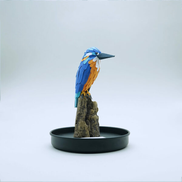 martin pêcheur – Image 4