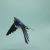 hirondelle rustique – Image 2