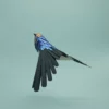 hirondelle rustique – Image 3
