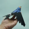 hirondelle rustique – Image 4