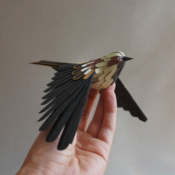 moineau domestique