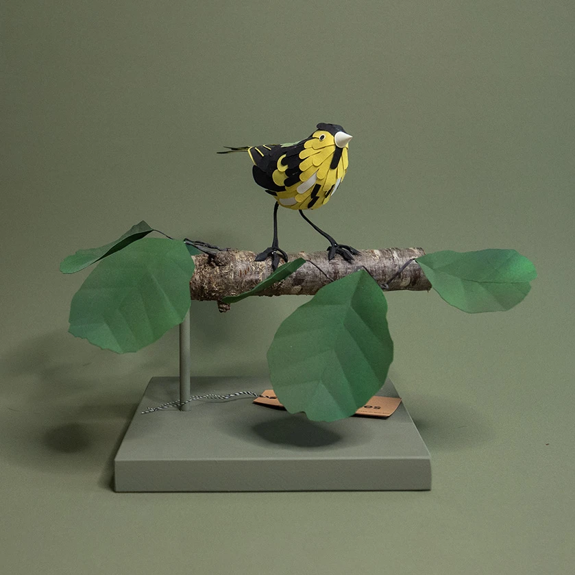 tarin sur son aulne – Image 2