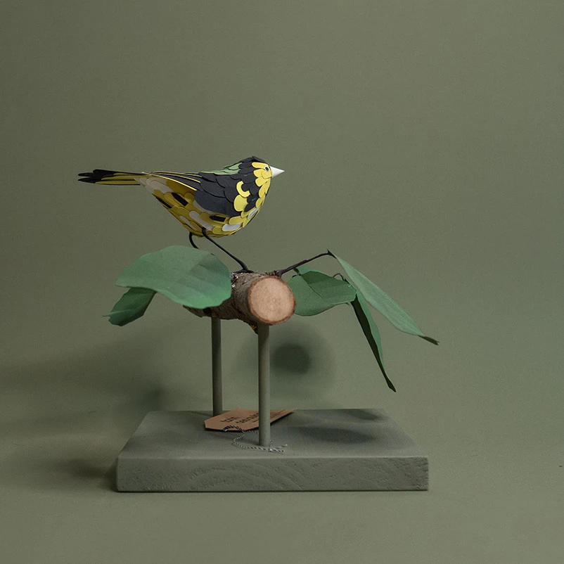 tarin sur son aulne – Image 5