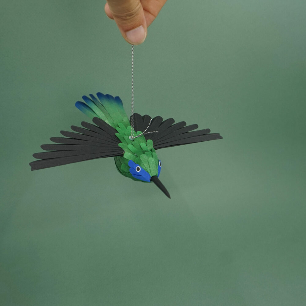 colibri thalassin