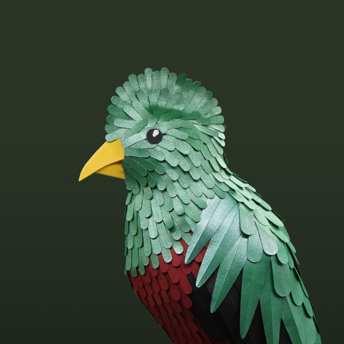 quetzal resplendissant