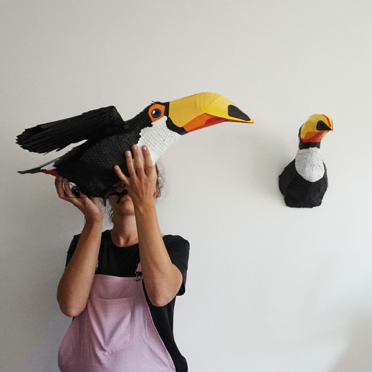 toucan toco