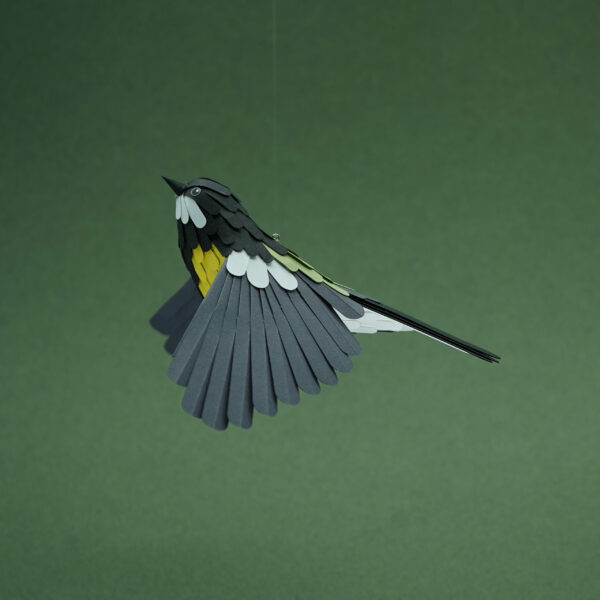 mésange charbonnière – Image 2