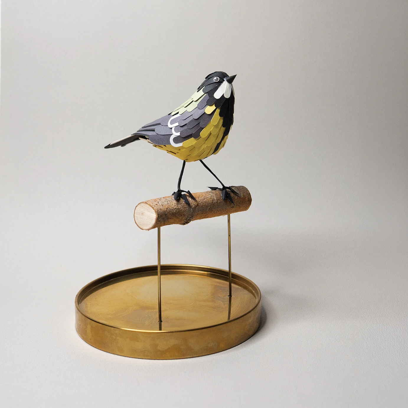 mésange charbonnière – Image 2