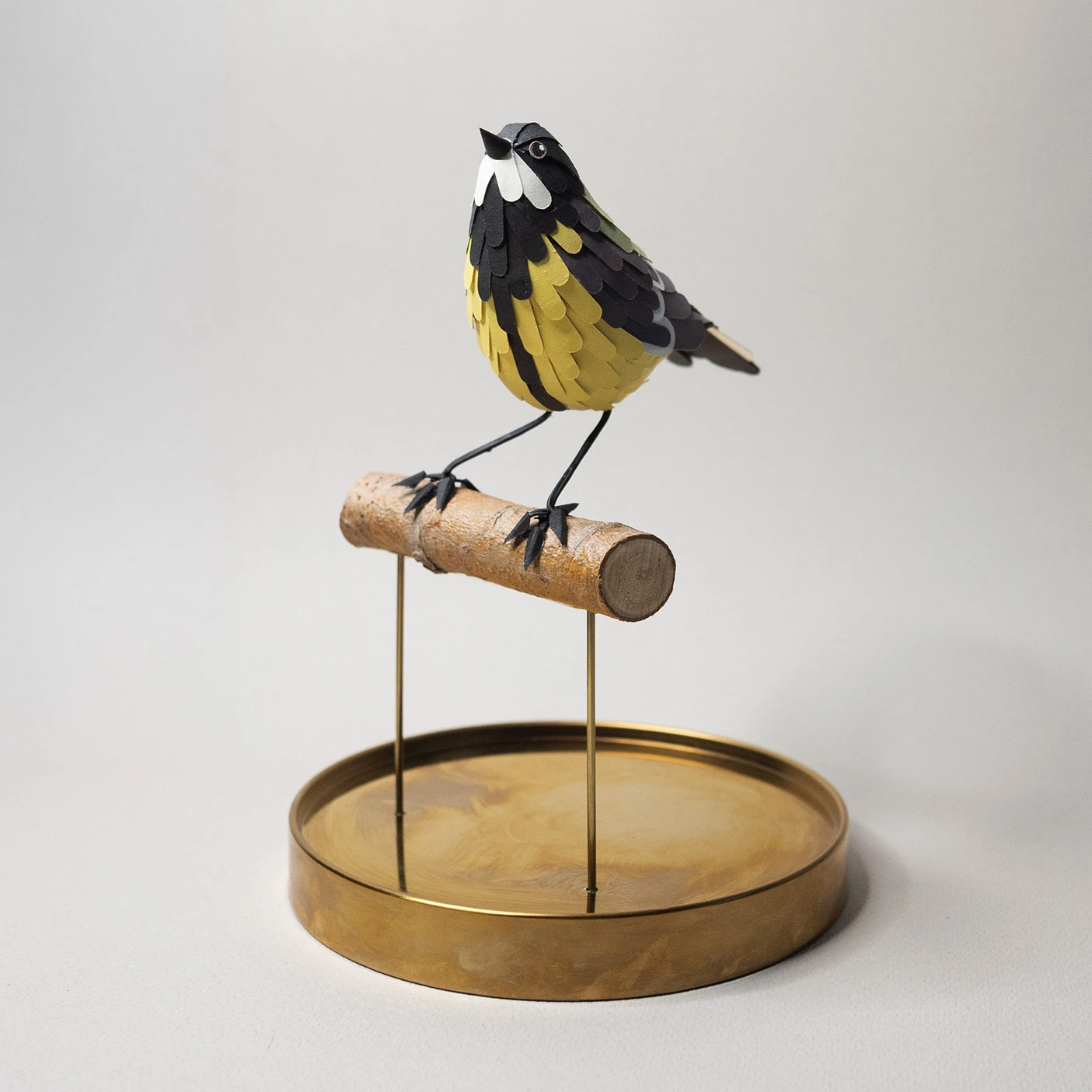 mésange charbonnière – Image 3