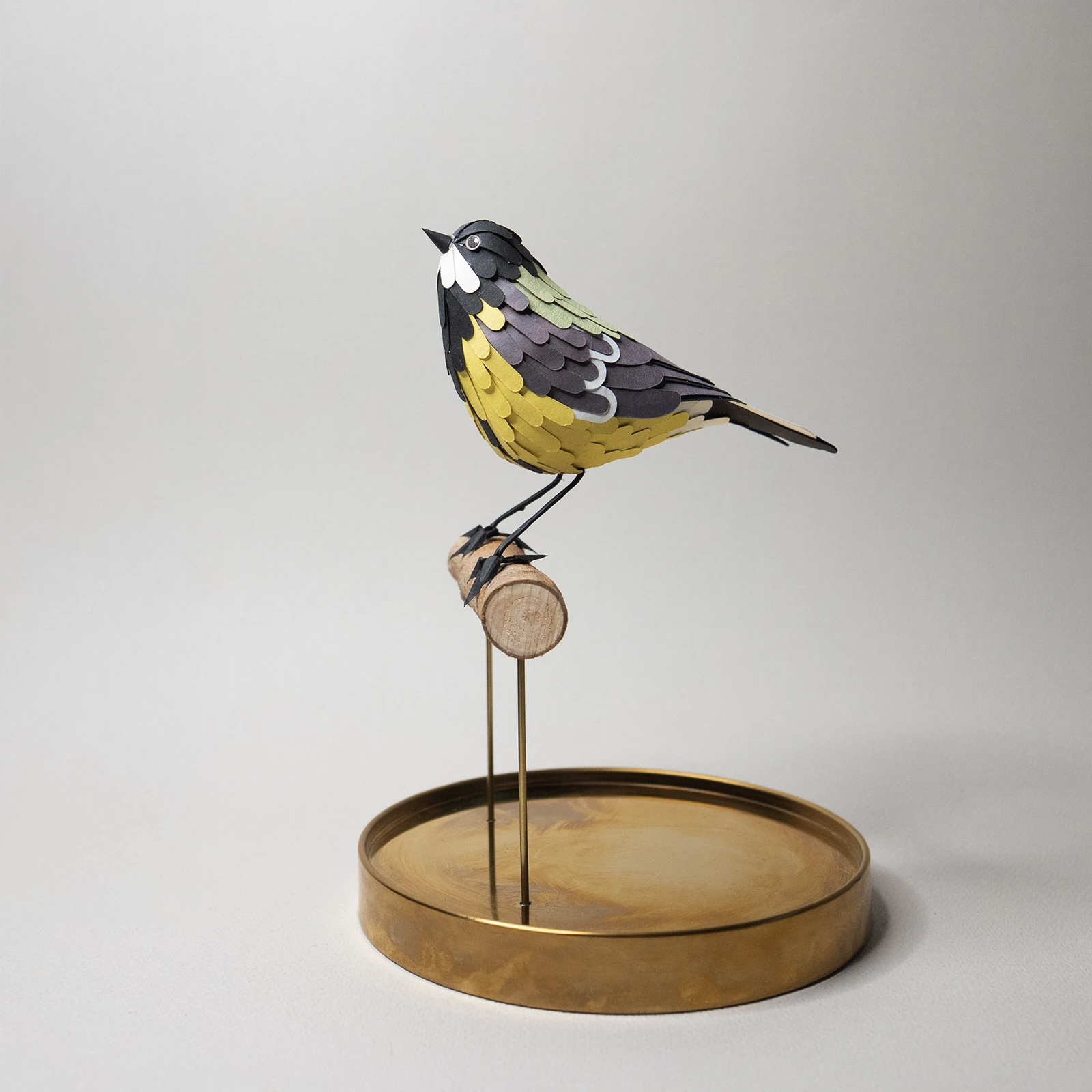 mésange charbonnière – Image 4