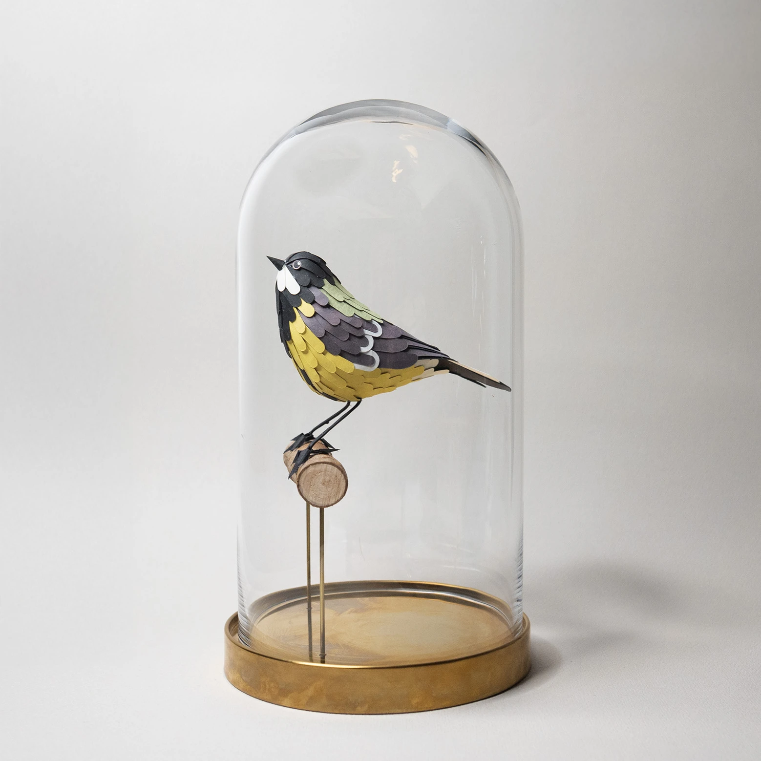 mésange charbonnière