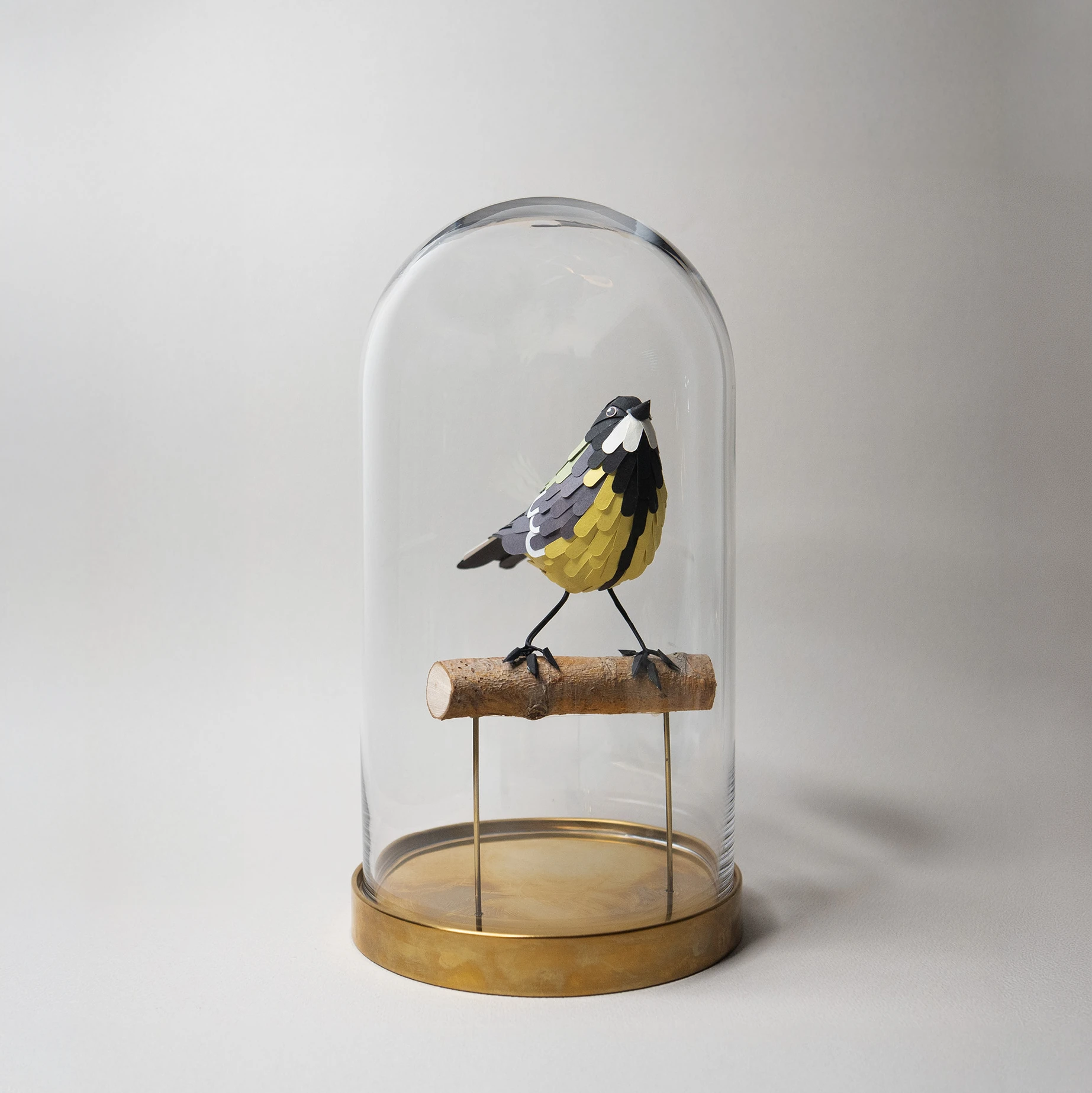 mésange charbonnière – Image 5