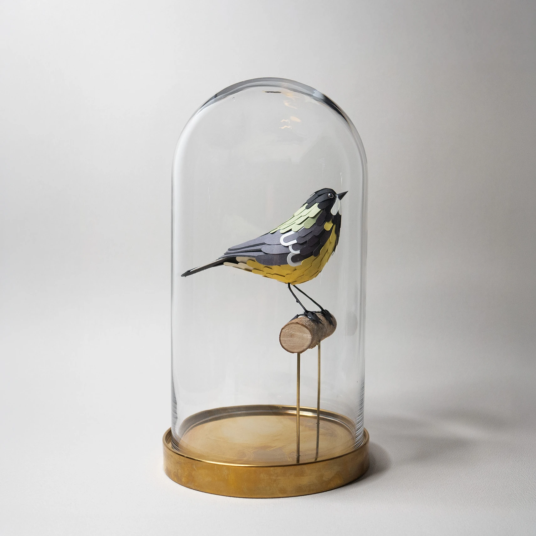 mésange charbonnière – Image 6
