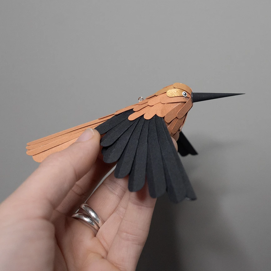 colibri robinson – Image 4