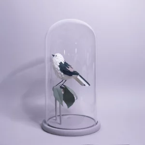 253011 shima A00 shima enaga