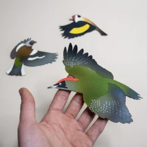 RIBAMBELLE - carspach