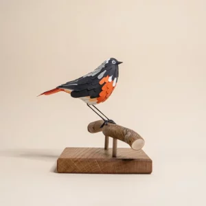 rougequeue front blanc