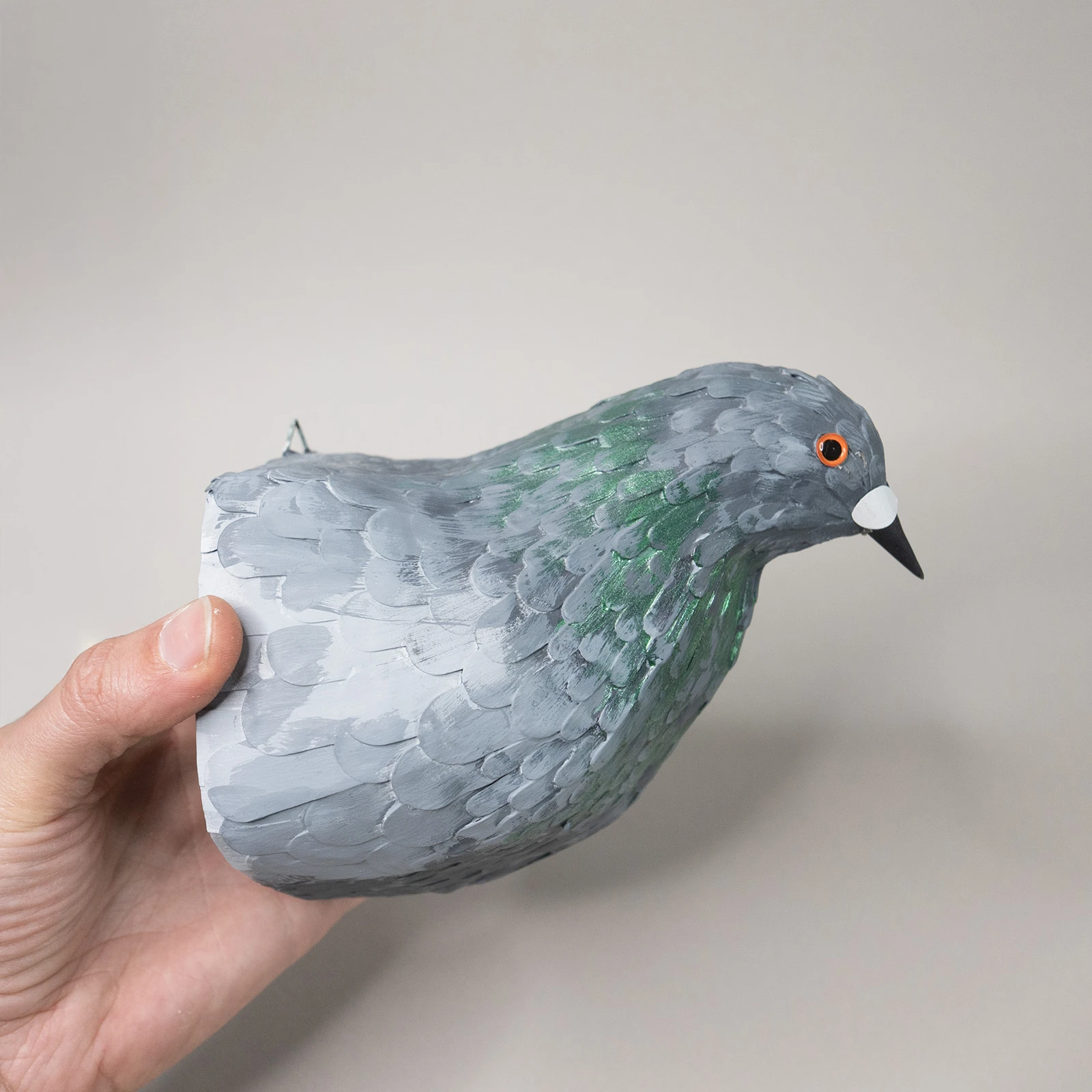 pigeon biset – Image 2