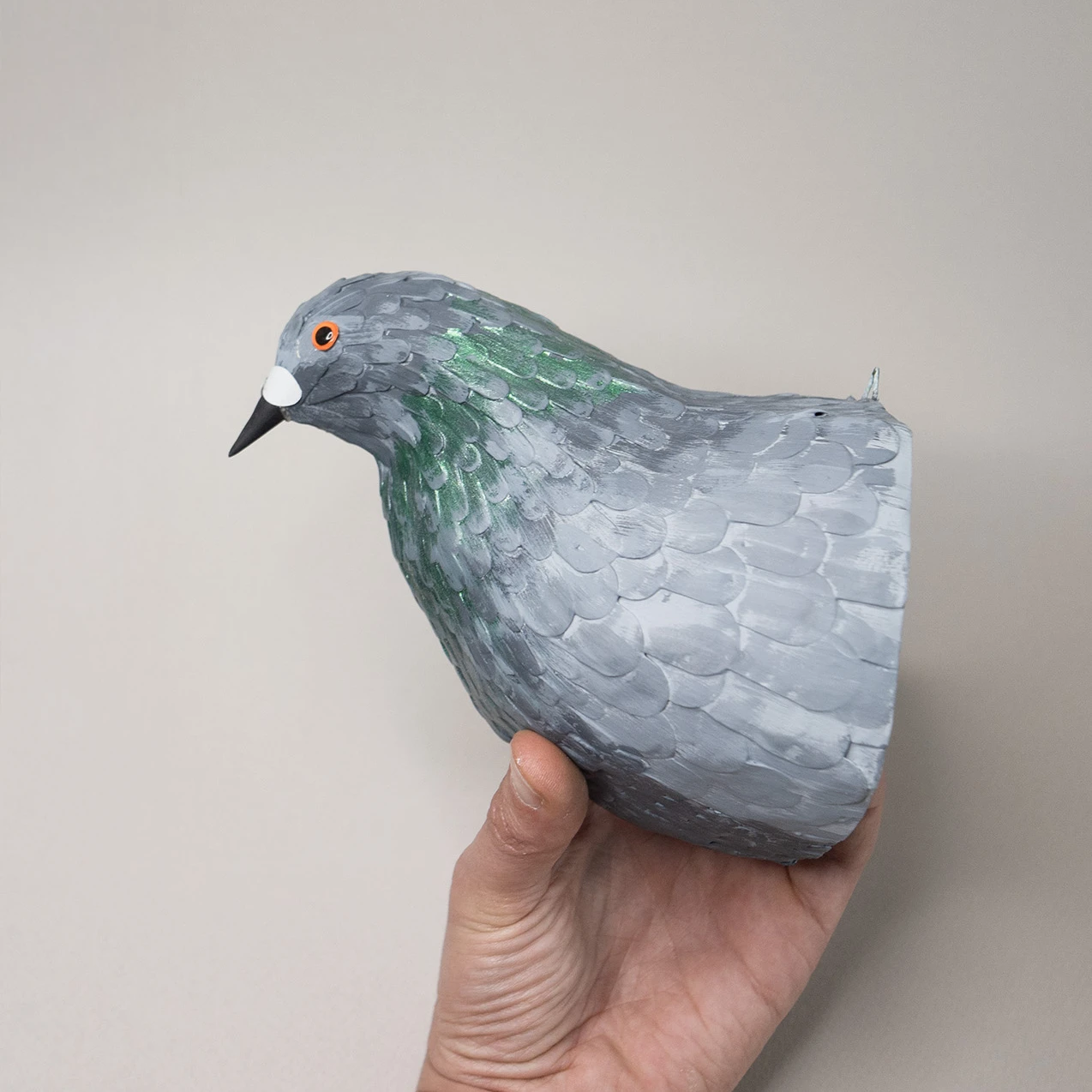 pigeon biset – Image 3