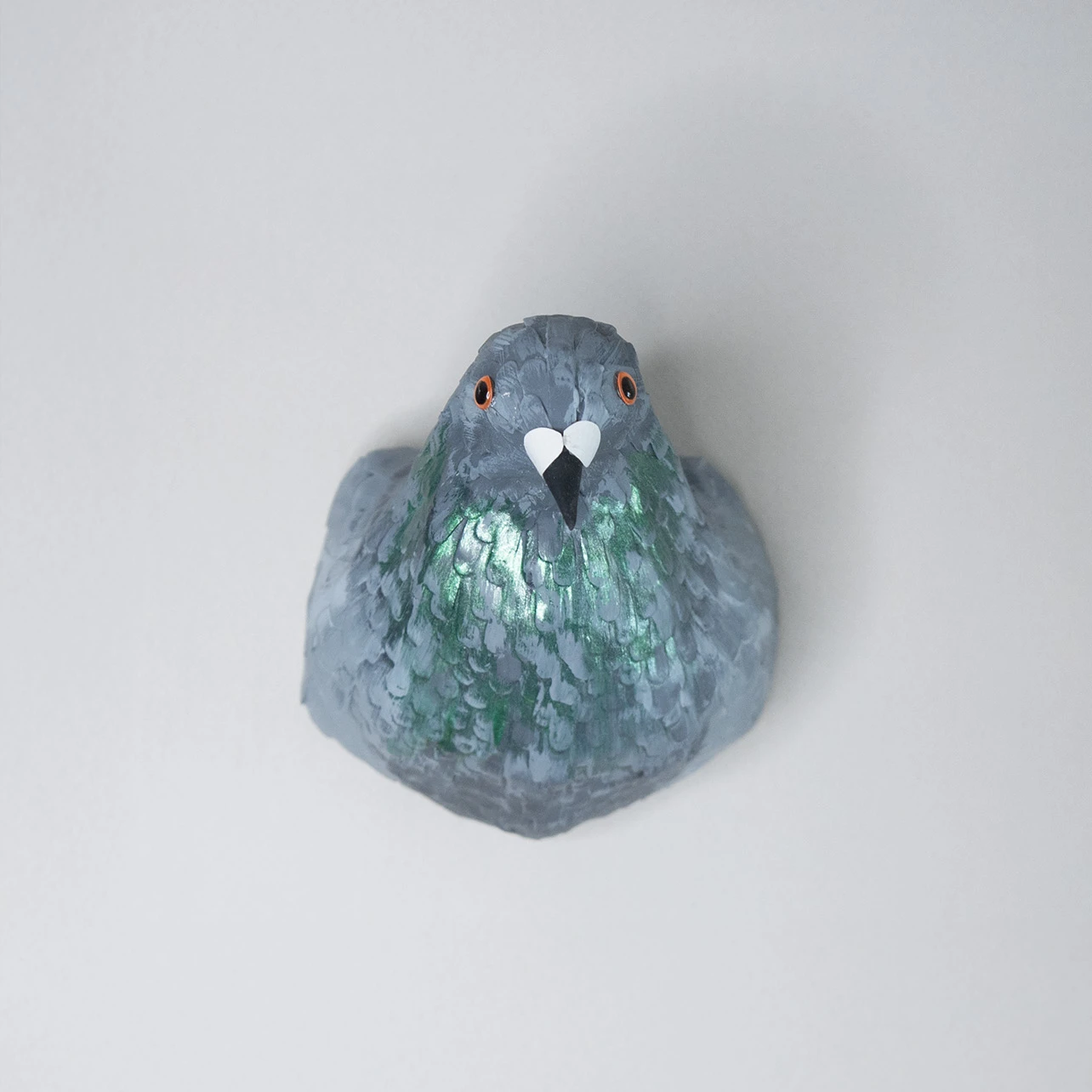 pigeon biset